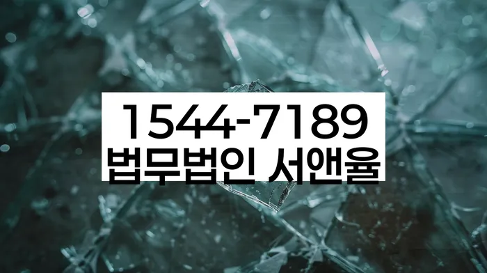 개인회생자동차