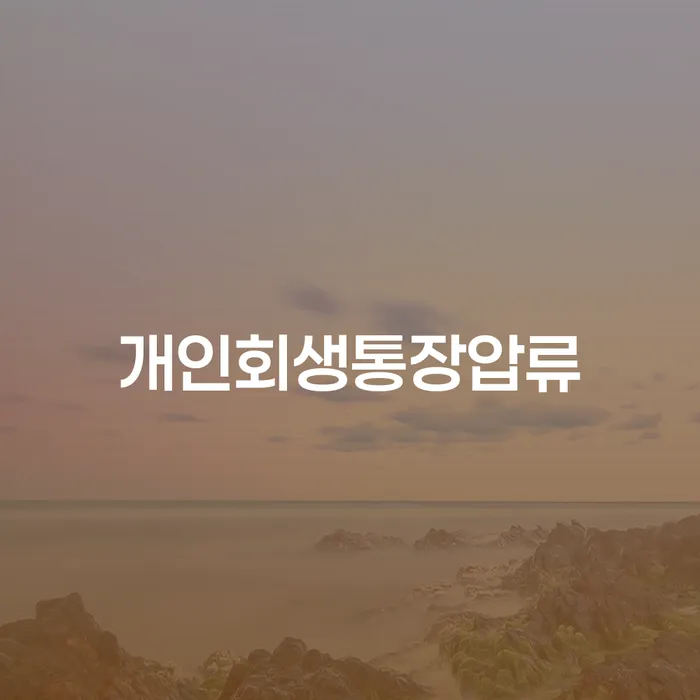 독촉 개인회생 문제해결방법 면담후에