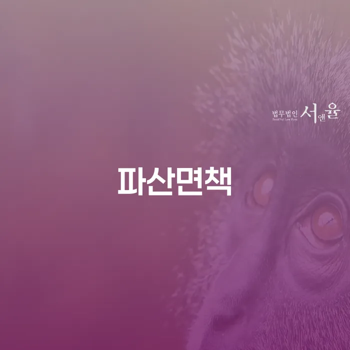 개인회생금지명령기각 대출 받은 돈채무조정 알아보는 꿀 팁!