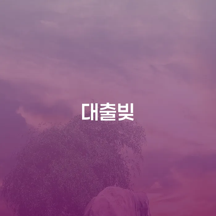 개인회생금지명령기각 연체 채무 신속해결방법 잘하는 사무소