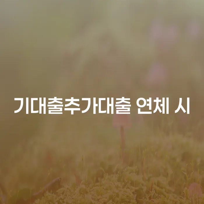 신용불량 빚청산 핵심요약