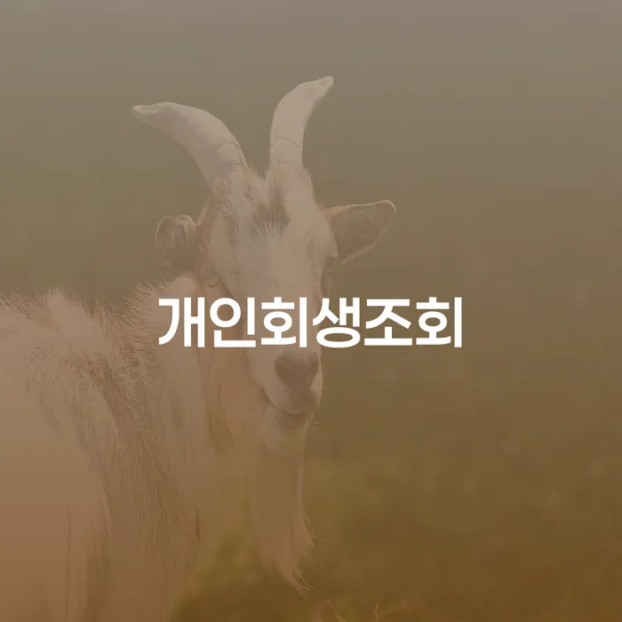 동작구 수임료 무이자 자체 분납 가능하고 카드빚 연체 조심스럽게