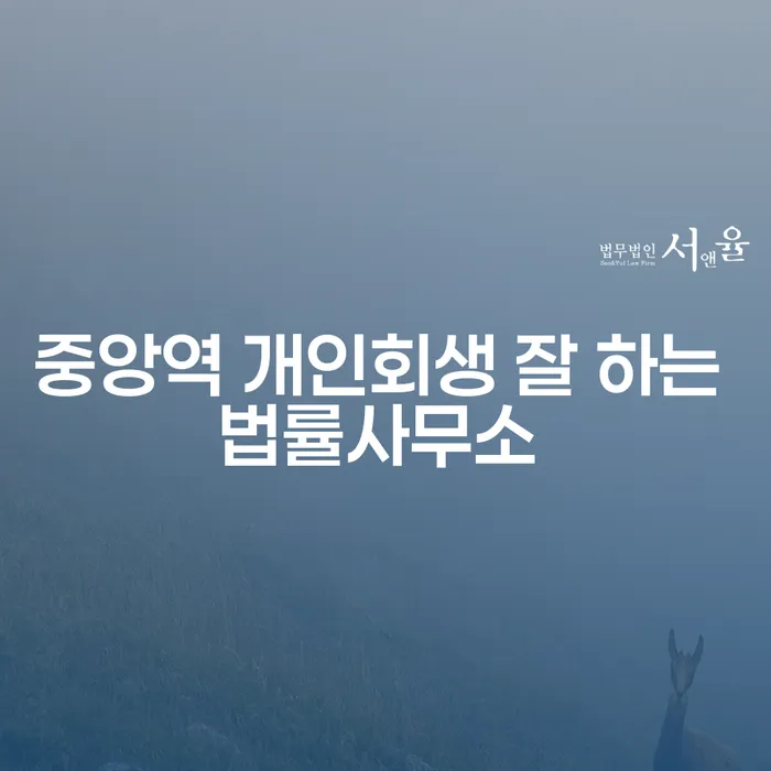 중앙역 개인회생 잘 하는 법률사무소