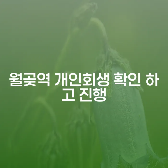 월곶역 개인회생 확인 하고 진행
