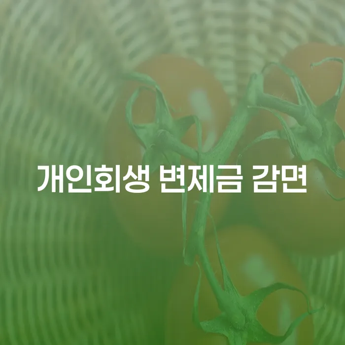개인회생 변제금 감면, 정말 가능할까?