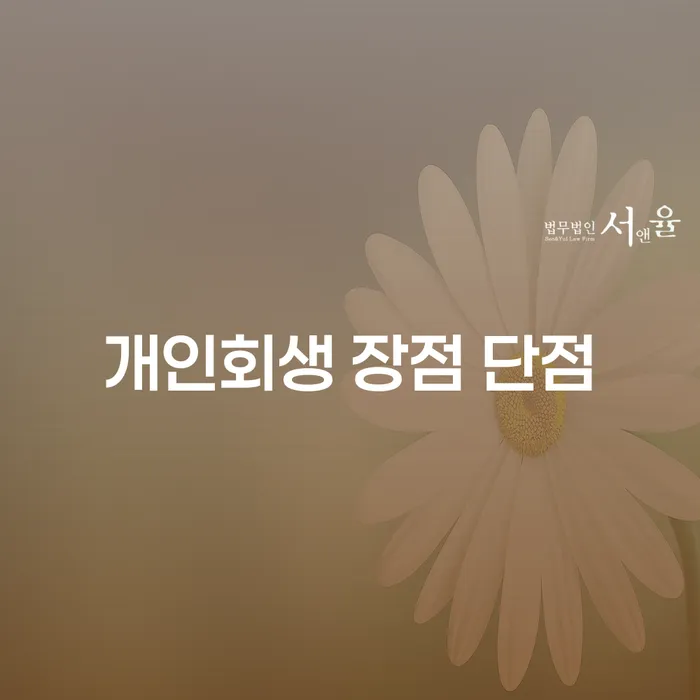 도봉2동 개인회생을 통한 경제적 재기 가능성