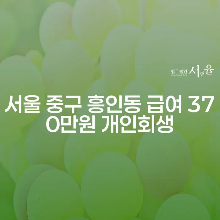 서울 중구 흥인동 급여 370만원 개인회생, 어떻게 시작해야 할까요?