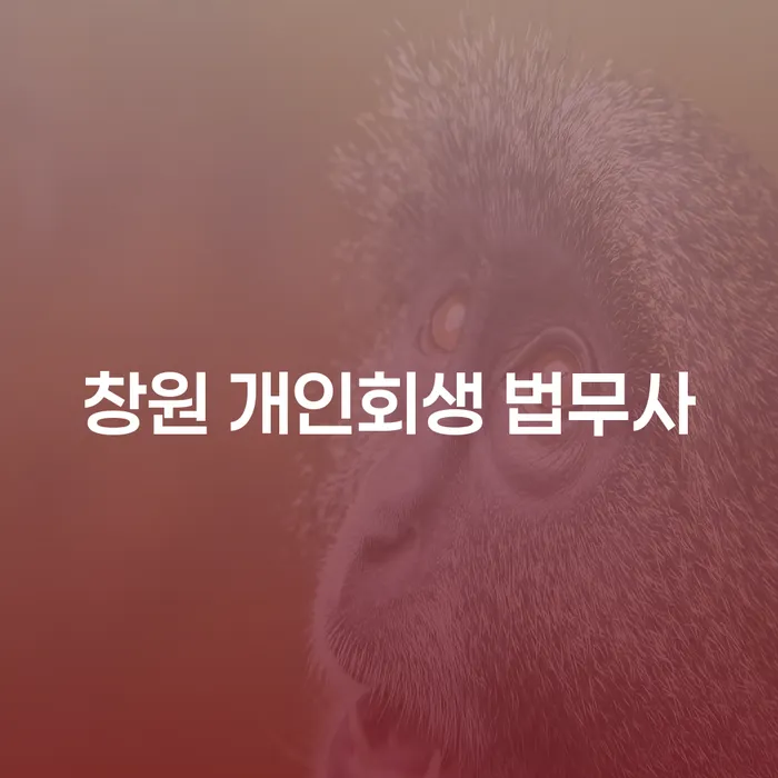 창원 개인회생 법무사를 통한 채무 해결, 어떻게 시작해야 할까요?