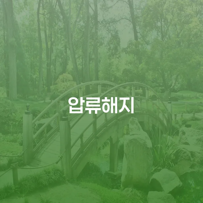 압류해지와 개인회생 카드 발급, 어떻게 해결할 수 있을까요?